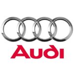audi-logo-leather-paint-ireland