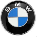 bmw-logo-leather-paint-ireland