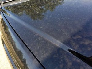 water spot remover