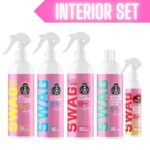 swag lady interior cleaning set