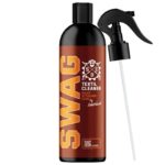 swag basic fabric cleaner